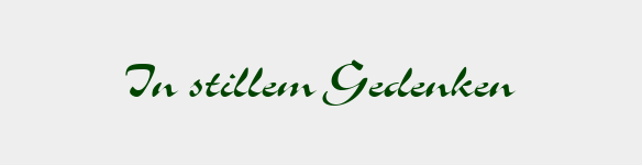 Schrift-Vorschau